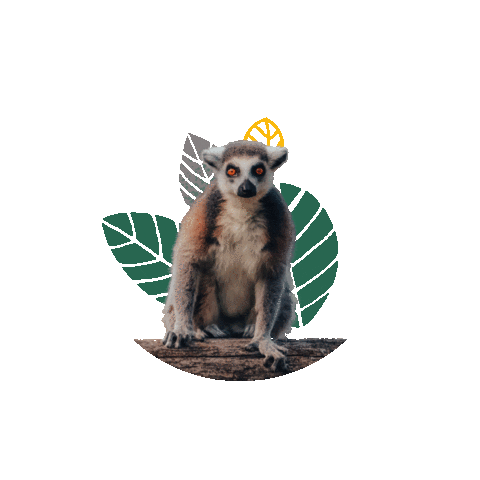 Tierpark Sababurg Sticker