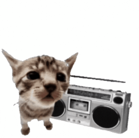 Boombox Dancing Cat GIF