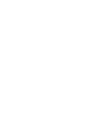 Birds Of A Feather Vive La Femme Sticker by Black Sheep Cycling