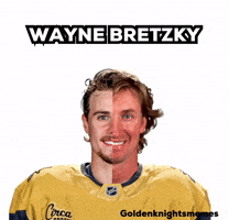 Vegas Golden Knights GIF
