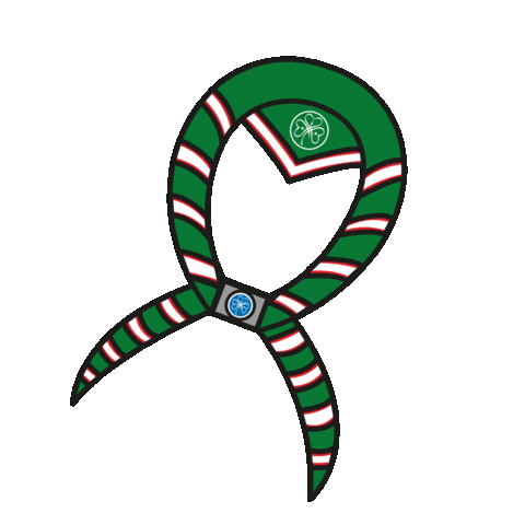 Pañueloguia Sticker by Asociación Guias Argentinas
