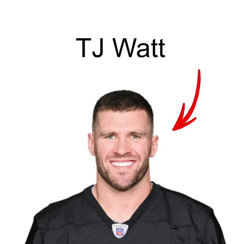 Pittsburgh Steelers GIF