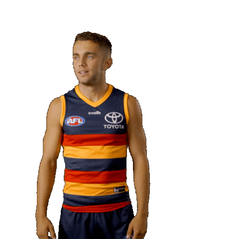Celebration Looking Sticker by Adelaide Crows