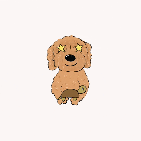 Happy Toy Poodle GIF