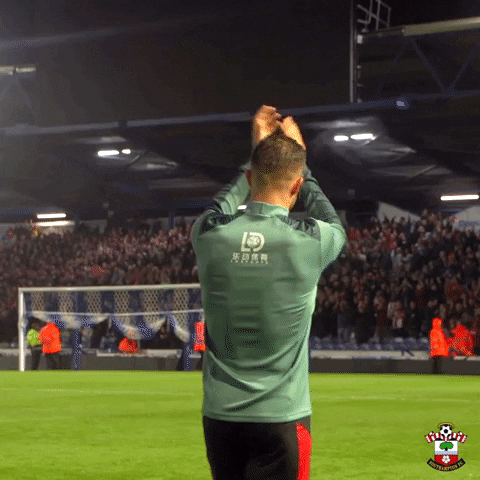 Danny Ings Football GIF by Southampton FC