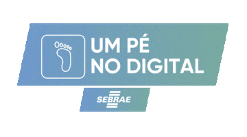 Sebrae PE Sticker