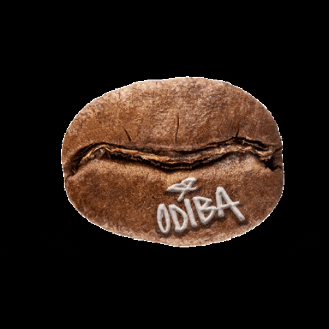 Coffee GIF by Odiba