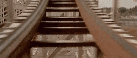 Rollercoaster GIF by memecandy