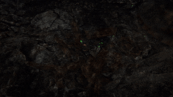 Action Rpg Illusion Of Beast GIF by MeDungeon Ltd.