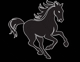 PowerHorse horse energy stallion powerhorse GIF