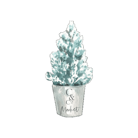 Cohen and Co Sticker