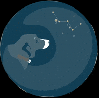 empressavenuemedia GIF