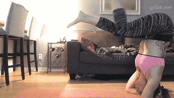Fun GIF