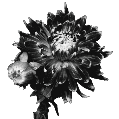 The Abyss Jekyll Sticker by HYDE