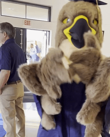 Mascot Graduation GIF by IRSC - Indian River State College
