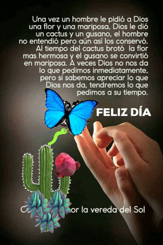 Felizdia GIF