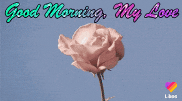 Good Morning Love GIF by Likee US