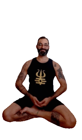 Namaste Felicidade Sticker by Zé Yoga