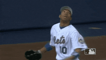 Leaping Ny Mets GIF by New York Mets