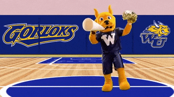 Cheer Athletics GIF by Webster University