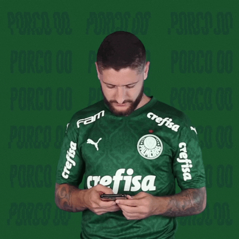 Looking Ze Rafael GIF by SE Palmeiras