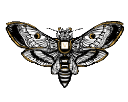 Virtuelv Sticker by Virtue Las Vegas