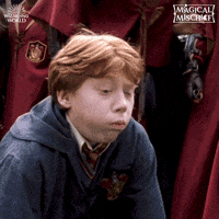 Backfire Ron Weasley GIF by Harry Potter
