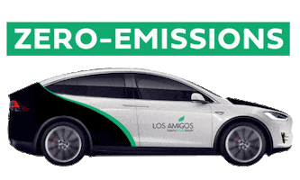 Mexicochingon Sticker by Los Amigos Tulum