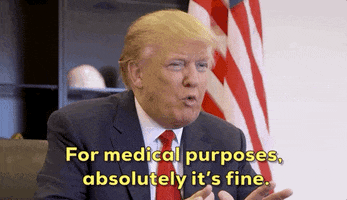 Donald Trump Weed GIF by Election 2020