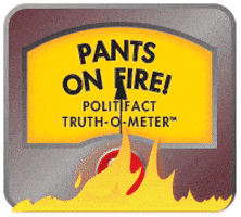 PolitiFact politics fake false factcheck GIF