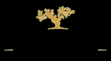 Viña De Martino GIF