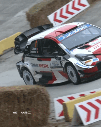 Driving Too Close GIF by FIA World Rally Championship