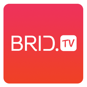 Brid GIF