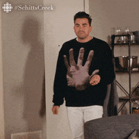 What Are You Doin Schitts Creek GIF by CBC