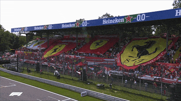 Fans Italy GIF by Formula 1