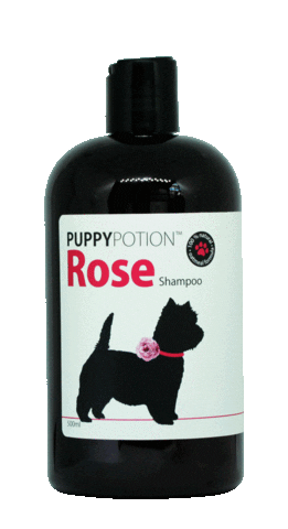 Shampoo Dog Bath Sticker by DOGGYPOTION