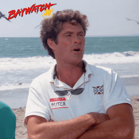TV gif. David Hasselhoff as Mitch on Baywatch, cheering and clapping on a beach.