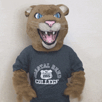 Grounds Crew T Pose GIF by Kane County Cougars - Find & Share on GIPHY