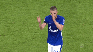 Dominick Drexler Football GIF by FC Schalke 04