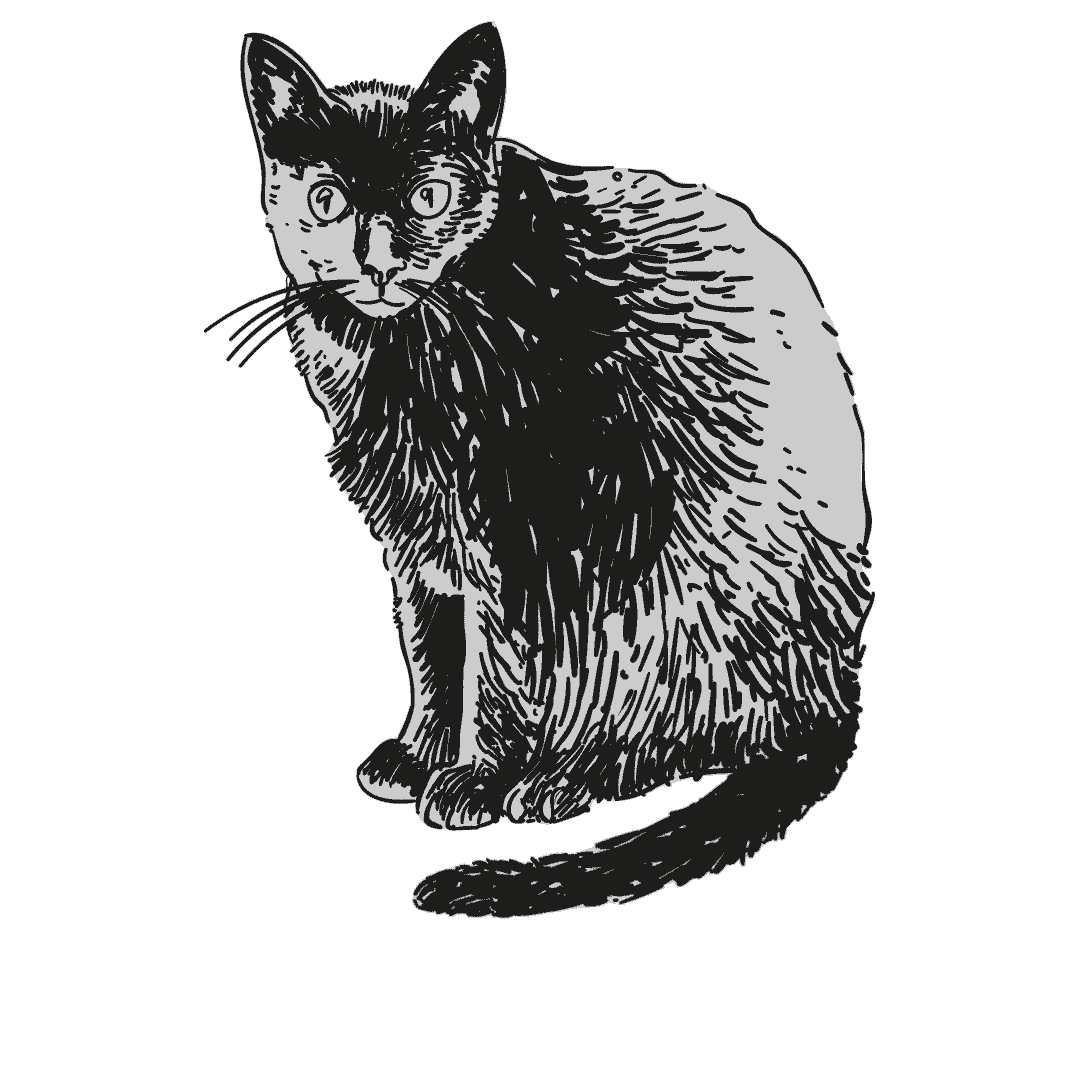 Arbórea Cachaça Sticker