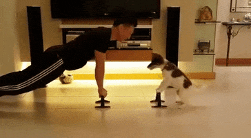 dog tyler workout dude rad
