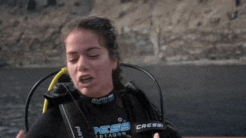Discovery GIF by Shark Week