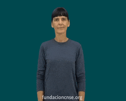 Fundación CNSE GIF