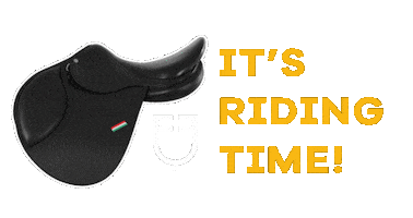 Riding Jumping Sticker by AmaHorse