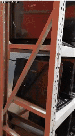 Animated GIF