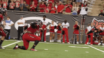 Red Wolves GIF by Arkansas State Athletics