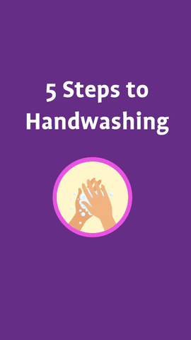 Hand Washing GIF by safefood
