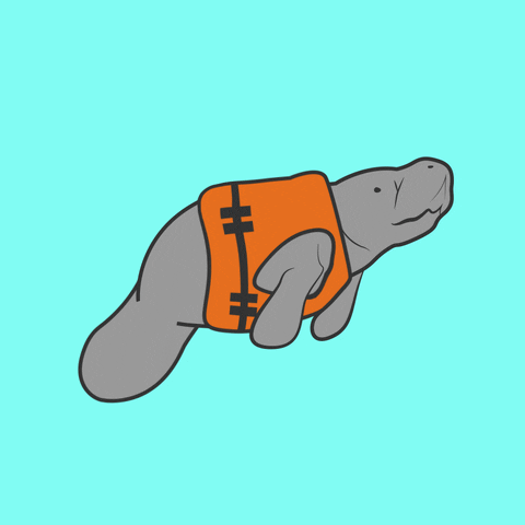 Manatee Floating GIFs - Get the best GIF on GIPHY