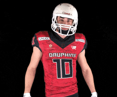 Football Represent GIF by Les Dauphins de Nice
