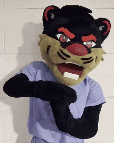 Sport Time GIF by Bearcat